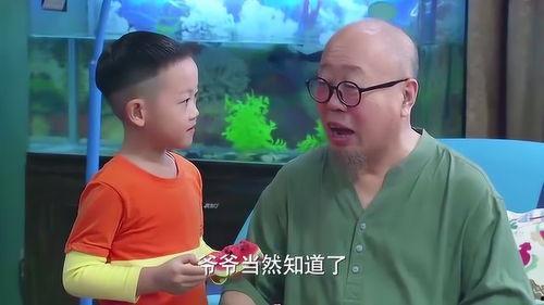 吃瓜大头娃,网络红人的崛起与影响力