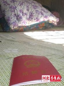 深泽河疃网红,探寻古村落里的网红魅力