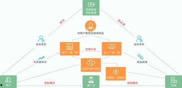 重庆网红直播电商系统,打造新零售风口下的电商新纪元