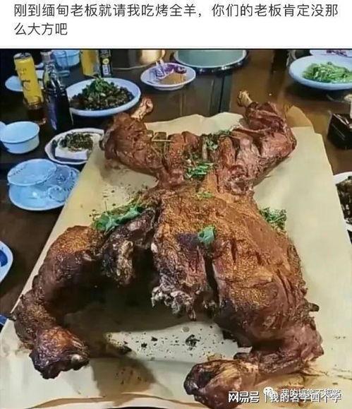 带你吃瓜吃烤全羊,带你吃瓜品烤全羊