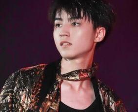 凯子明星,闪耀娱乐圈的璀璨星辰