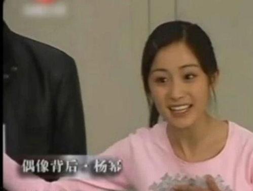 明星当年,回顾明星当年的辉煌时刻