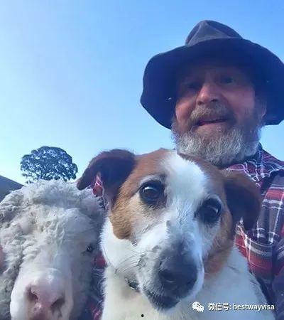 网红狗和父亲的趣事视频,温馨趣事大盘点