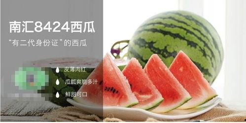 吃瓜光予文创,揭秘网红美食背后的创意与魅力