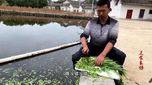 农村网红广东人,揭秘农村网红的崛起之路