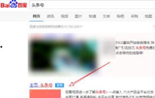 头条小店拍照要求多少,掌握这些技巧，轻松提升店铺形象