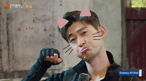 明星们吃猪脑吗,明星们是否热衷于品尝猪脑美食？揭秘娱乐圈中的独特饮食习惯