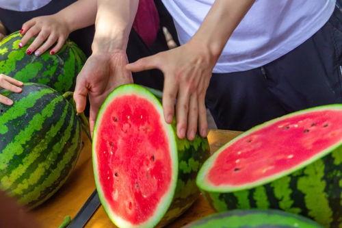 王西瓜吃瓜,揭秘瓜界风云