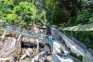 今日头条裕龙湾景区,自然风光与人文体验的完美融合