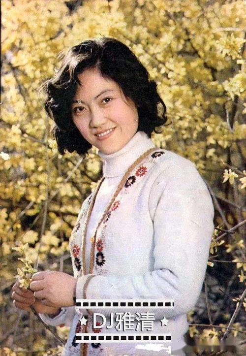 红色的花猜明星,揭秘那些如花似玉的明星风采