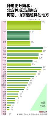 小区吃瓜产量多,小区吃瓜产量创新高，共享丰收喜悦