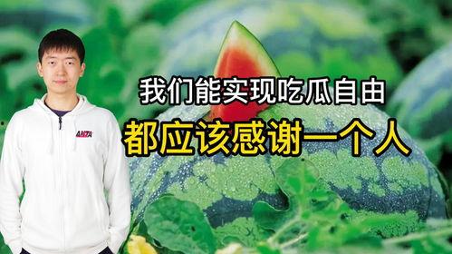 可以实现吃瓜自由了