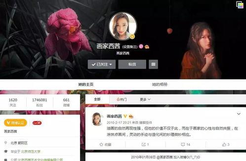 画百万网红,揭秘网络红人的魅力与影响力