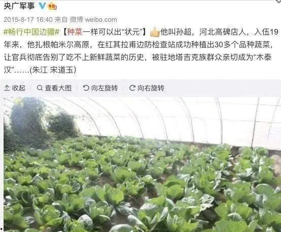 头条种菜的钻石怎么不见,头条种菜背后的秘密揭晓