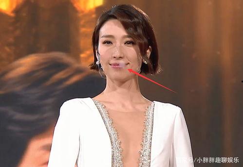 明星透明大全,揭秘娱乐圈真实生活与幕后故事