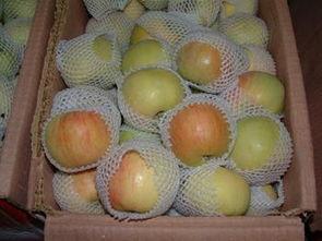 山东网红大鸭梨图片,皮薄汁多，美味传遍全网