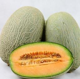 挖吃哈密瓜,挖吃之旅，尽享甜蜜滋味