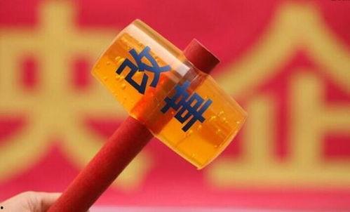 宜昌大事爆料最新消息,重大事件引发社会关注