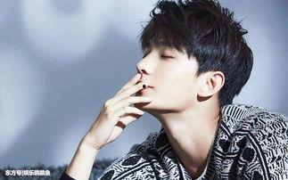 今年超火的明星,揭秘当红明星的璀璨之路