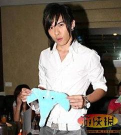 明星a片视频,一场娱乐与隐私的较量