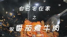 美食测评深圳头条,探寻这座城市的味蕾盛宴