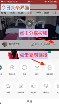 桌面如何下载头条视频,一键操作，尽享精彩内容