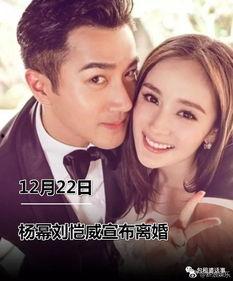 吃瓜小说娱乐圈完整版,吃瓜小说完整版揭秘