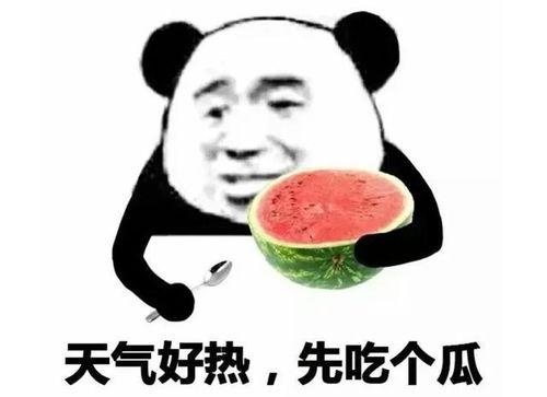 吃瓜表情包图片搞笑